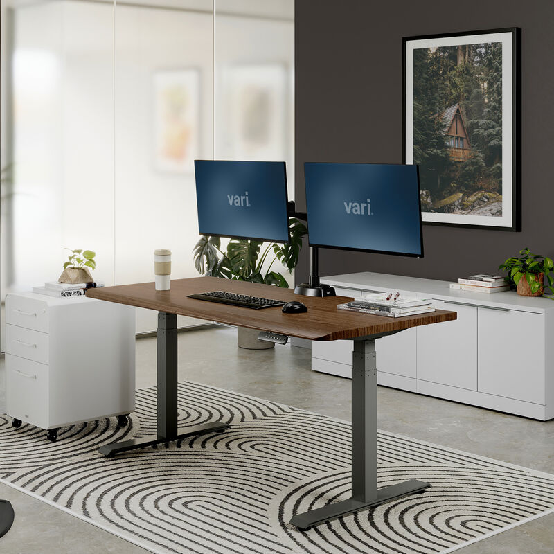 Walnut electric standing desk with gray frame in its lowered position in a modern office, with dual monitors, keyboard, mouse, books, a white filing cabinet, a white credenza and a striped rug. image number null
